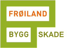 logo-froeiland-bygg-skade-293x206-opt
